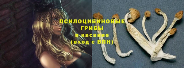 соль курить ск Володарск