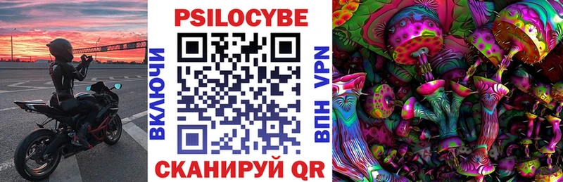 Галлюциногенные грибы Psilocybe Ростов-на-Дону