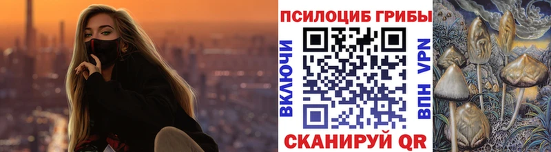 Галлюциногенные грибы Psilocybe  Ростов-на-Дону 