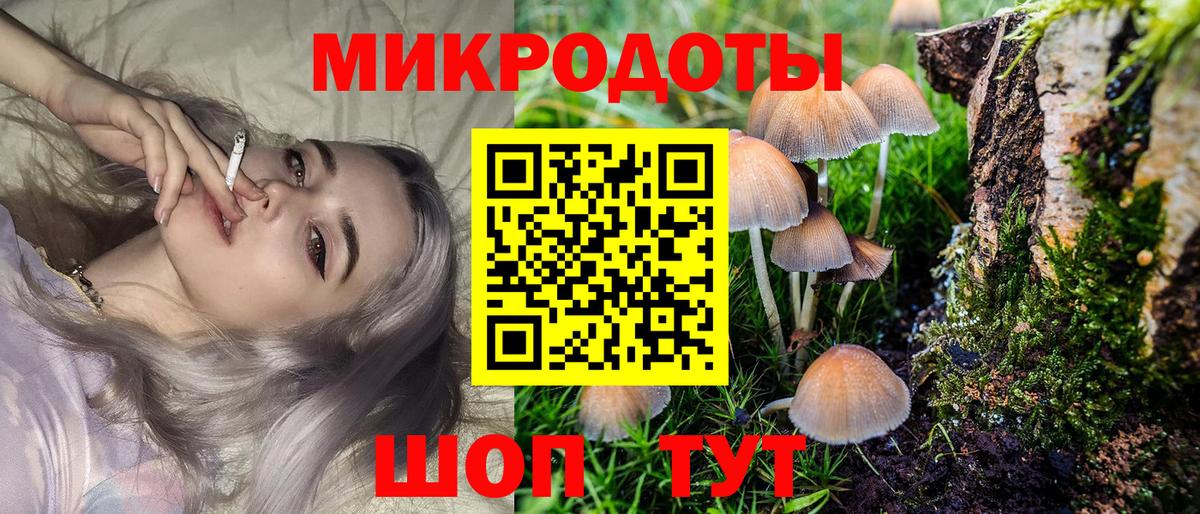 Псилоцибиновые грибы MAGIC MUSHROOMS  Вход с VPN  Псилоцибиновые грибы Cubensis  Ростов-на-Дону 