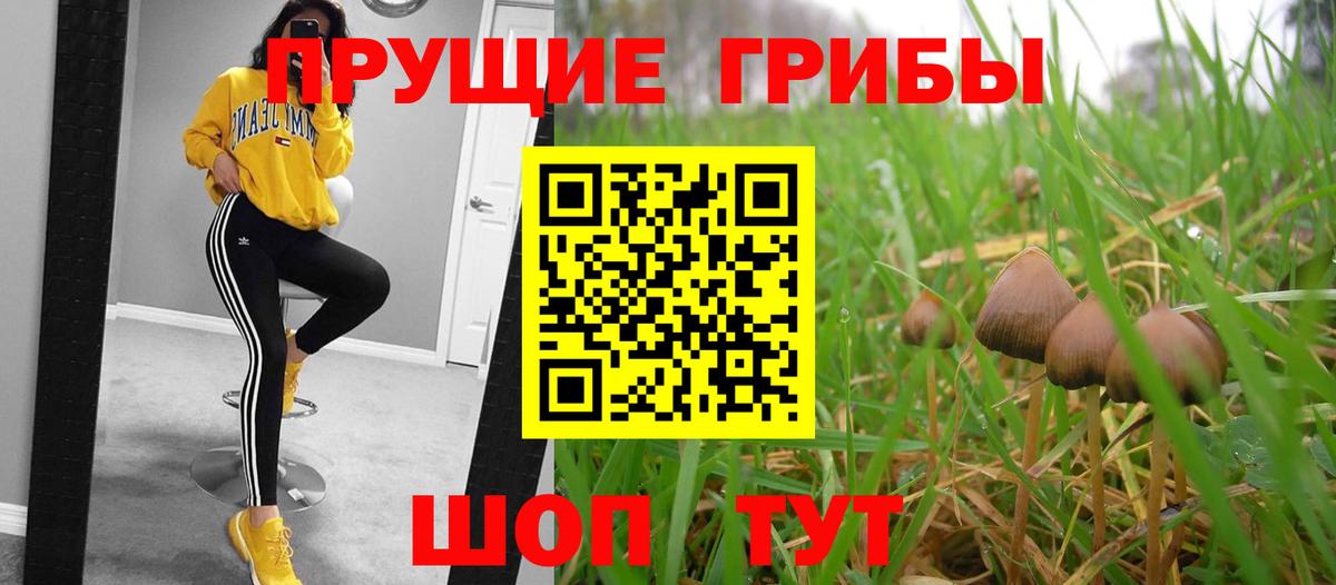 Псилоцибиновые грибы Psilocybine cubensis Ростов-на-Дону