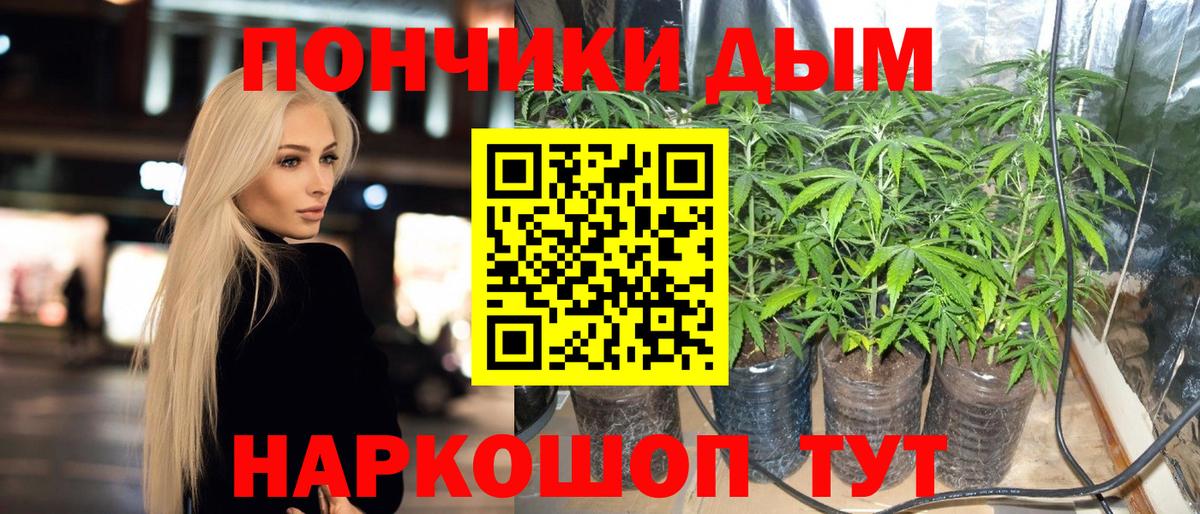 Бошки марихуана Bruce Banner Ростов-на-Дону